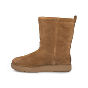 UGG Classic Short Waterproof Chestnut Boots