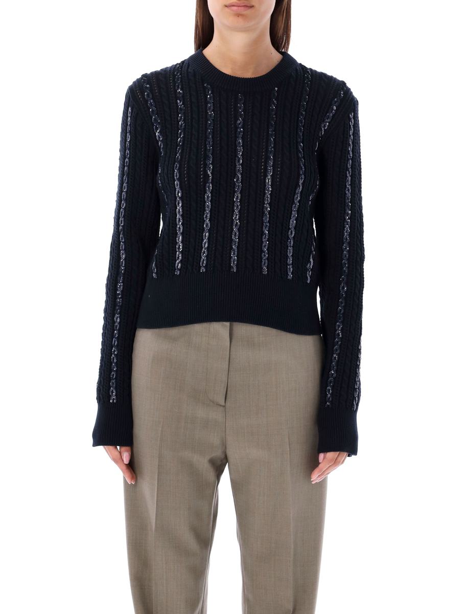 Golden Goose Sweater Sequin