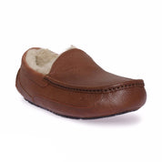 UGG Ascot Scotch Grain Leather Shoes