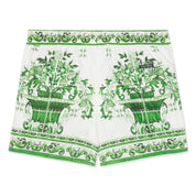 Dolce & Gabbana Majolica Print Swim Shorts  (Green/White)