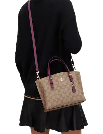 Coach-Mollie-Tote-25-In-Signature-Canvas-9-02.png