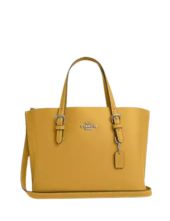 Coach-Mollie-Tote-Bag-25-7-01.png