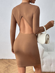 Honey Long Sleeve Ribbed Mini Dress