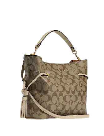 Coach Andy Crossbody In Signature Canvas