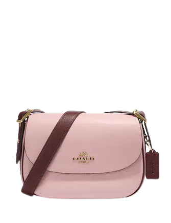 coach-macie-saddle-bag-2.png