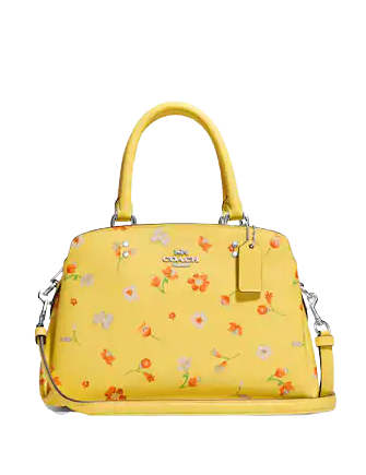 coach-mini-lillie-carryall-with-mystical-floral-print-01-01.png