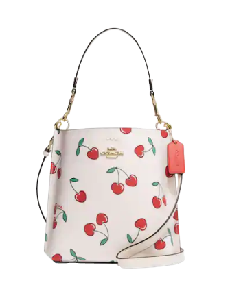 coach-mollie-bucket-22-with-heart-cherry-print-00.png