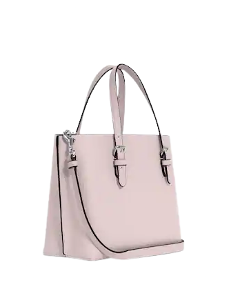 Coach Mollie Tote 25