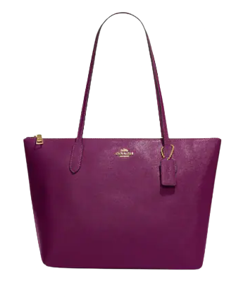 coach-zip-top-tote-9.png